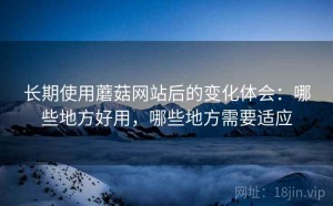 长期使用蘑菇网站后的变化体会：哪些地方好用，哪些地方需要适应