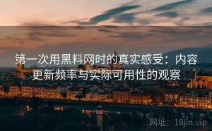 第一次用黑料网时的真实感受：内容更新频率与实际可用性的观察