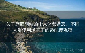 关于蘑菇网站的个人体验备忘：不同人群使用场景下的适配度观察