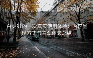 白虎91的一次真实使用体验：内容呈现方式与主观体验总结