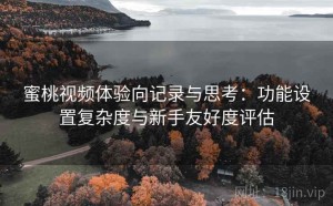 蜜桃视频体验向记录与思考：功能设置复杂度与新手友好度评估