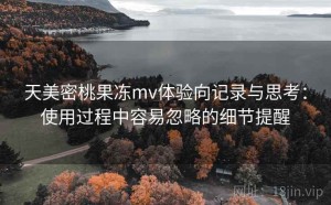 天美密桃果冻mv体验向记录与思考：使用过程中容易忽略的细节提醒