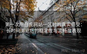 第一次用白虎网站一区时的真实感受：长时间浏览后的稳定性与流畅度表现