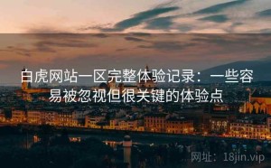 白虎网站一区完整体验记录：一些容易被忽视但很关键的体验点