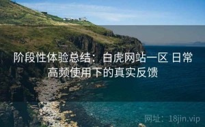 阶段性体验总结：白虎网站一区 日常高频使用下的真实反馈