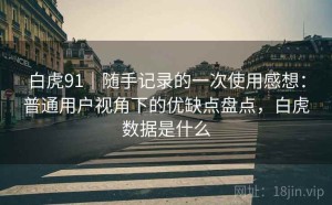 白虎91｜随手记录的一次使用感想：普通用户视角下的优缺点盘点，白虎数据是什么