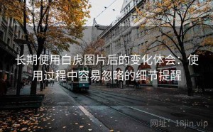 长期使用白虎图片后的变化体会：使用过程中容易忽略的细节提醒