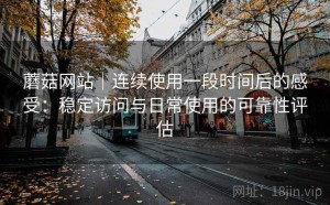蘑菇网站｜连续使用一段时间后的感受：稳定访问与日常使用的可靠性评估
