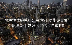 阶段性体验总结：白虎91 功能设置复杂度与新手友好度评估，白虎t恤