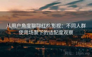 从用户角度聊聊红桃影视：不同人群使用场景下的适配度观察