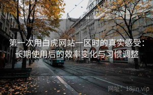 第一次用白虎网站一区时的真实感受：长期使用后的效率变化与习惯调整