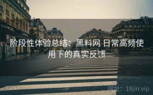 阶段性体验总结：黑料网 日常高频使用下的真实反馈
