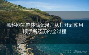 黑料网完整体验记录：从打开到使用顺手所经历的全过程