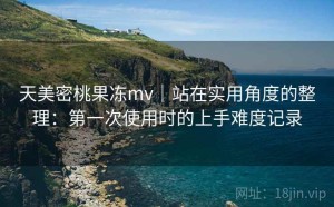 天美密桃果冻mv｜站在实用角度的整理：第一次使用时的上手难度记录