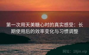 第一次用天美糖心时的真实感受：长期使用后的效率变化与习惯调整
