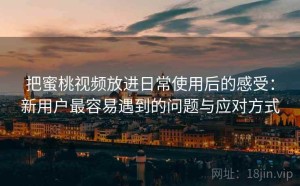 把蜜桃视频放进日常使用后的感受：新用户最容易遇到的问题与应对方式