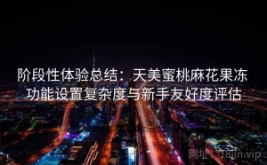 阶段性体验总结：天美蜜桃麻花果冻 功能设置复杂度与新手友好度评估