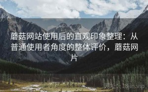蘑菇网站使用后的直观印象整理：从普通使用者角度的整体评价，蘑菇网片