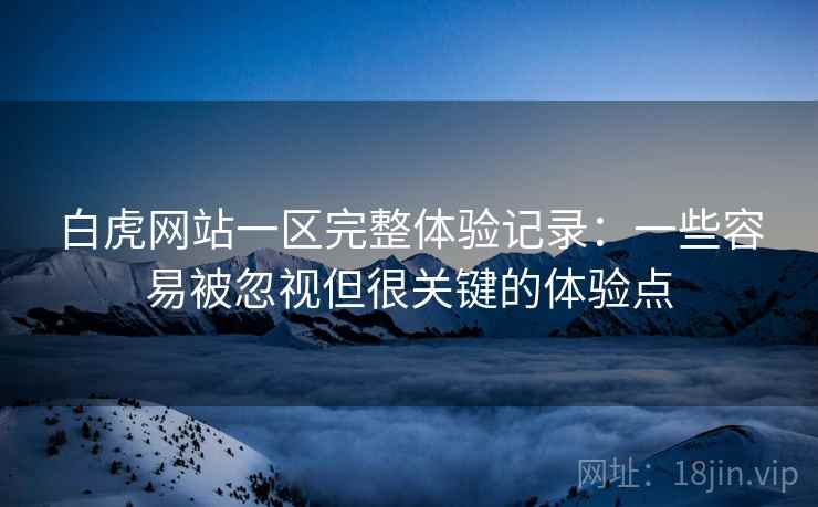 白虎网站一区完整体验记录：一些容易被忽视但很关键的体验点