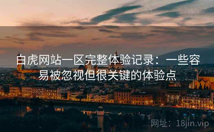 白虎网站一区完整体验记录：一些容易被忽视但很关键的体验点