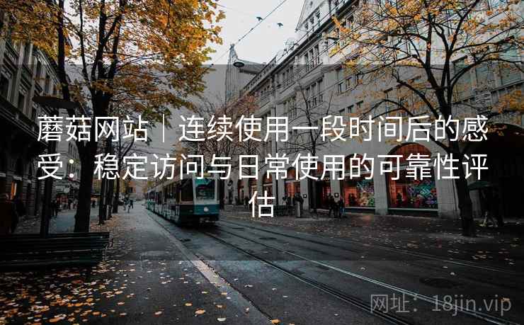 蘑菇网站｜连续使用一段时间后的感受：稳定访问与日常使用的可靠性评估