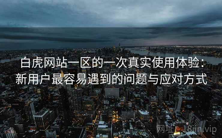 白虎网站一区的一次真实使用体验：新用户最容易遇到的问题与应对方式