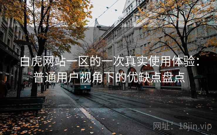 白虎网站一区的一次真实使用体验：普通用户视角下的优缺点盘点