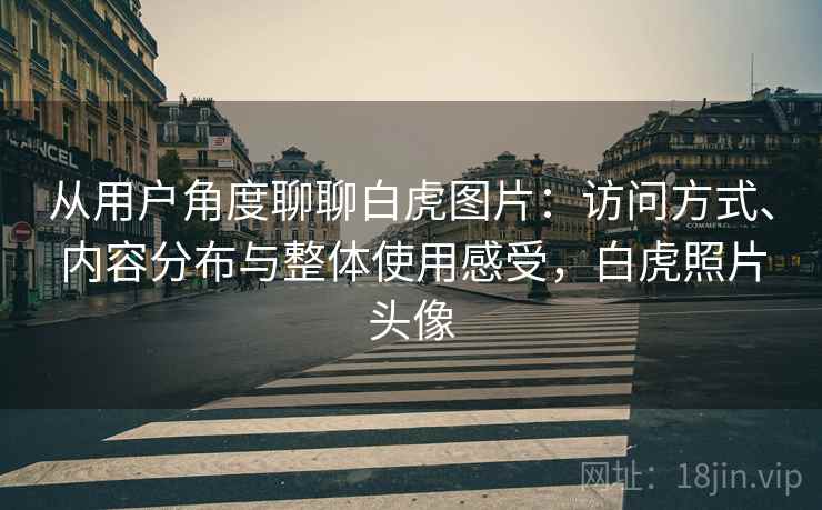 从用户角度聊聊白虎图片:访问方式、内容分布与整体使用感受,白虎照片头像 从用户角度聊聊白虎图片:访问方式、内容分布与整体使用感受,白虎照片头像