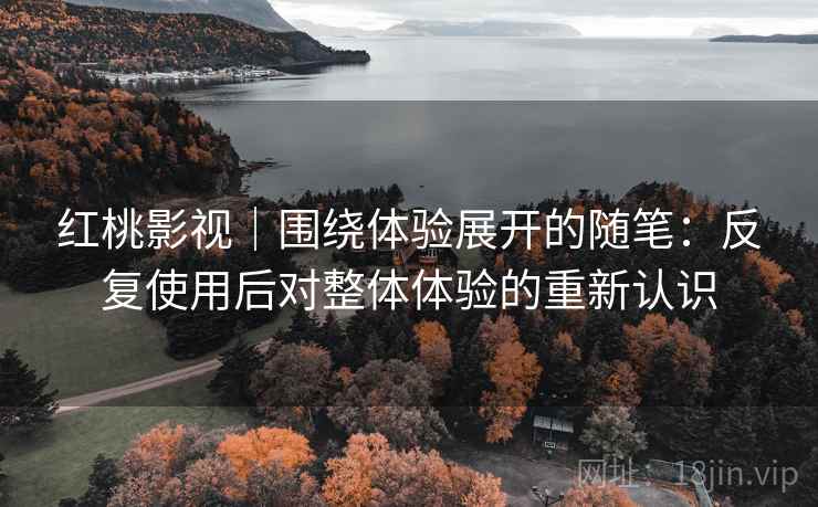 红桃影视｜围绕体验展开的随笔：反复使用后对整体体验的重新认识