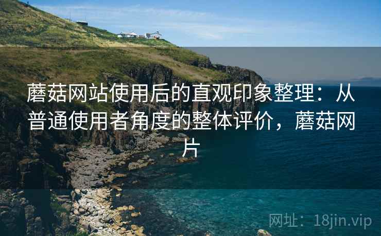 蘑菇网站使用后的直观印象整理：从普通使用者角度的整体评价，蘑菇网片