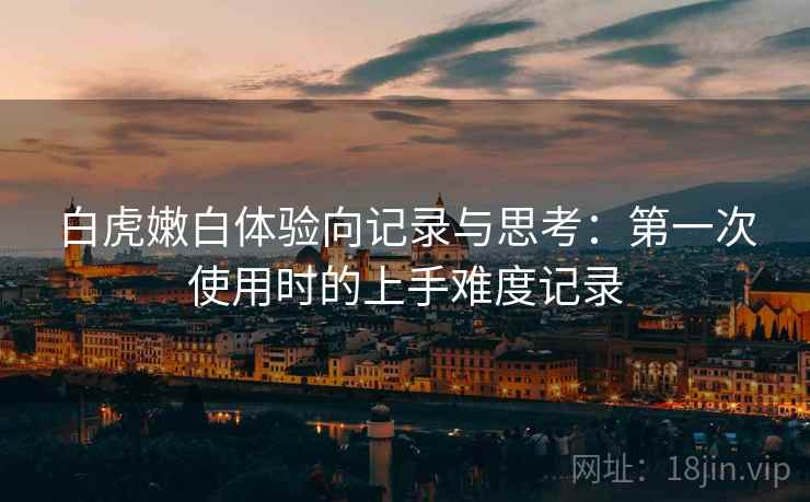 白虎嫩白体验向记录与思考:第一次使用时的上手难度记录 白虎嫩白体验向记录与思考:第一次使用时的上手难度记录