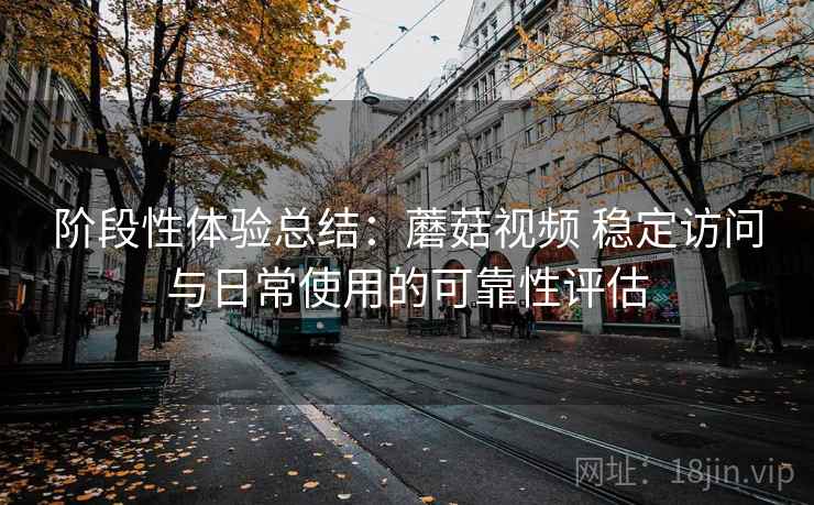 阶段性体验总结：蘑菇视频 稳定访问与日常使用的可靠性评估
