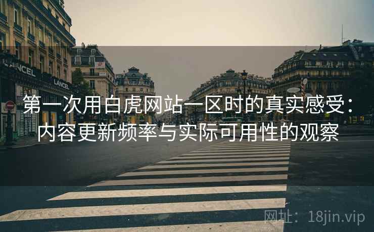 第一次用白虎网站一区时的真实感受：内容更新频率与实际可用性的观察