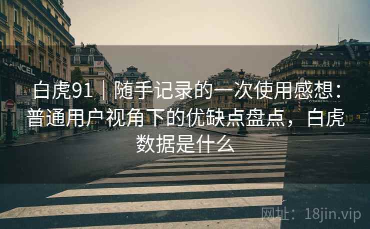 白虎91｜随手记录的一次使用感想：普通用户视角下的优缺点盘点，白虎数据是什么