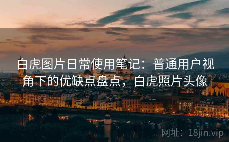 白虎图片日常使用笔记:普通用户视角下的优缺点盘点,白虎照片头像 白虎图片日常使用笔记:普通用户视角下的优缺点盘点,白虎照片头像