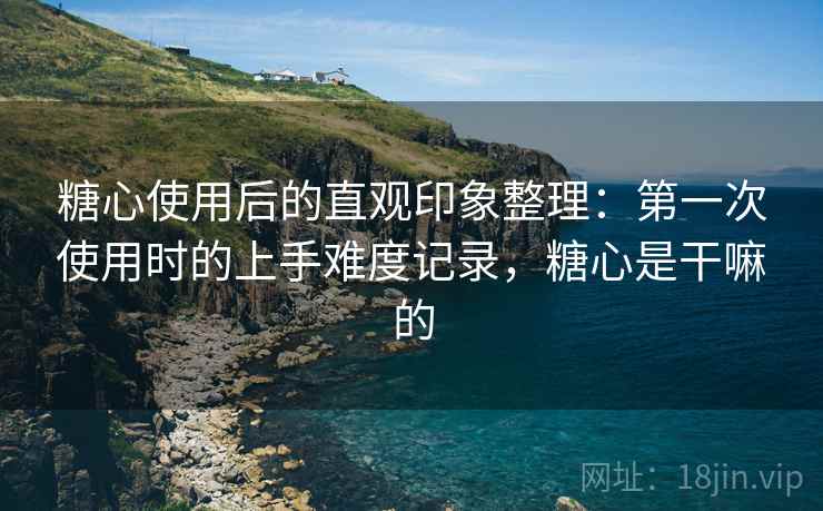 糖心使用后的直观印象整理：第一次使用时的上手难度记录，糖心是干嘛的