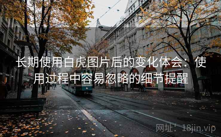 长期使用白虎图片后的变化体会：使用过程中容易忽略的细节提醒